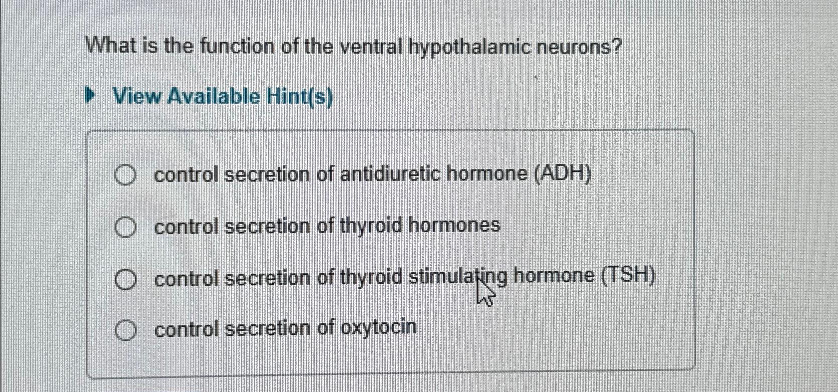 Solved What is the function of the ventral hypothalamic | Chegg.com
