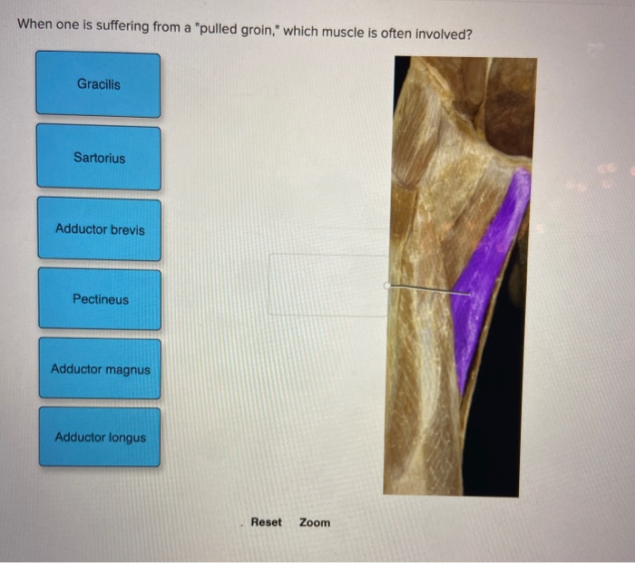 Solved when one is suffering from a pulled groin, which