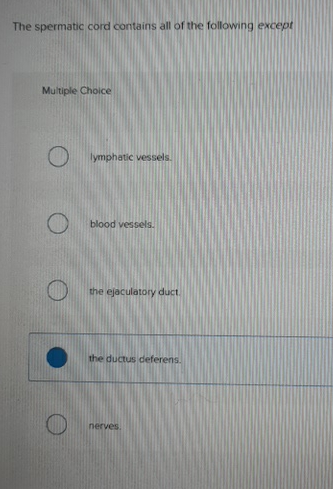 Solved The spermatic cord contains all of the following Chegg com Solved The spermatic cord contains all of the following Chegg com