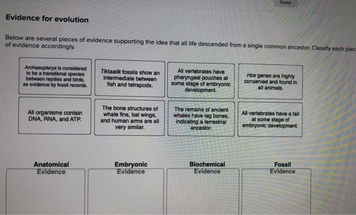 solved-evidence-for-evolution-below-are-several-pieces-of-chegg