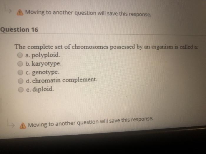 solved-the-inheritance-of-both-chromosomes-from-the-same-chegg