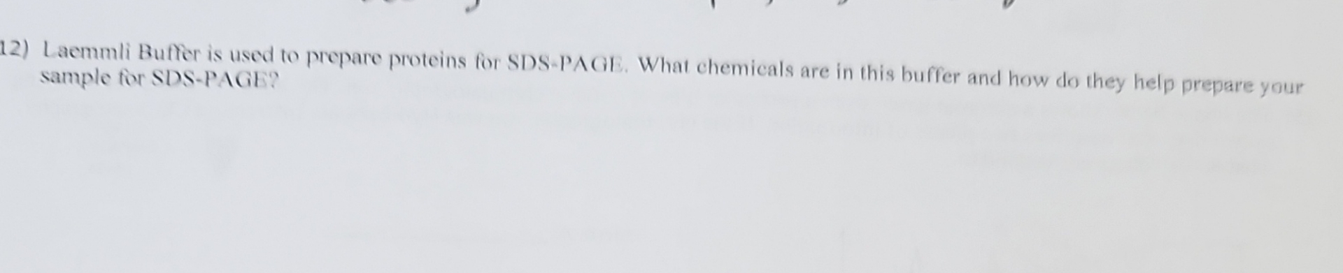 Solved Laemmli Buffer is used to prepare proteins for | Chegg.com