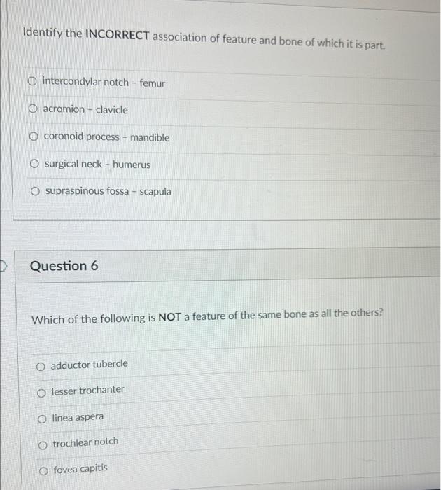 Solved Identify the INCORRECT association of feature and | Chegg.com