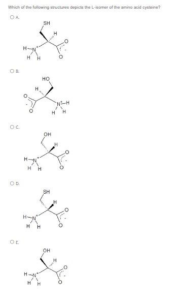 Which of the following structures depicts the L-isomer of the amino acid cysteine?
OA
SH
OB
OC
OD.
H
H
?
H
H
H
HO
OH
te
SH
OH