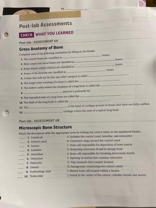 Solved Post-lab Assessments CHECK WHAT YOU LEARNED Post-lab | Chegg.com