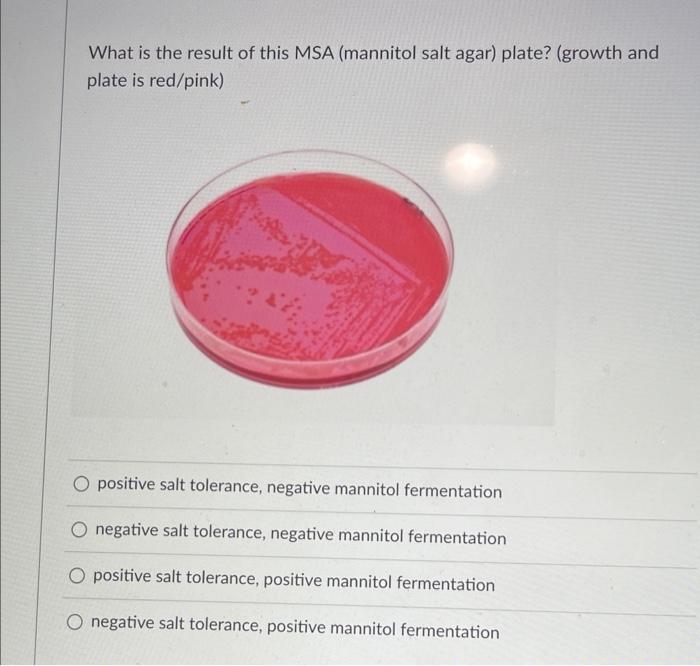Solved What is the result of this MSA (mannitol salt agar)