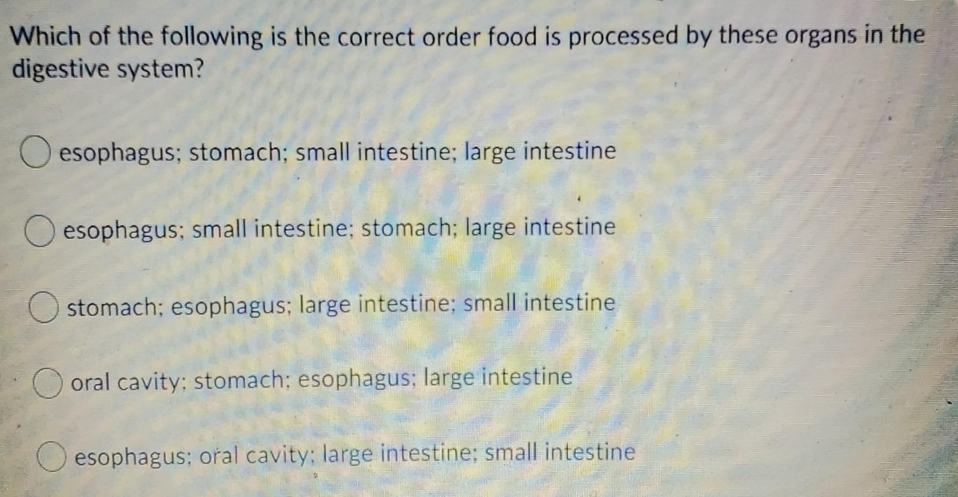 Solved Where does carbohydrate digestion begin? O oral