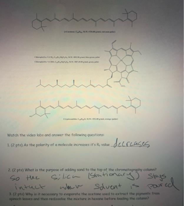 Solved Spinach Chromatography The objective of the lab was