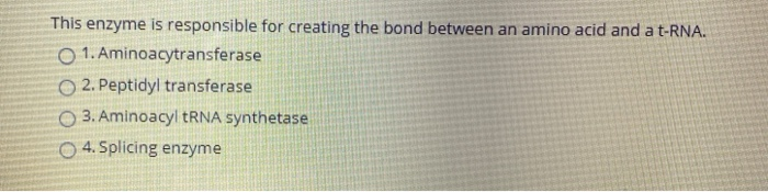 Solved This enzyme relieves the strain in the DNA molecule | Chegg.com