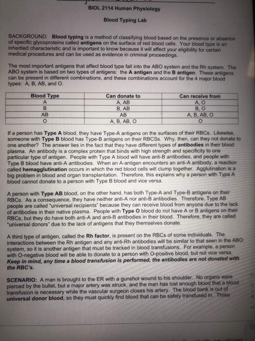 solved-biol-2114-human-physiology-blood-typing-lab-chegg