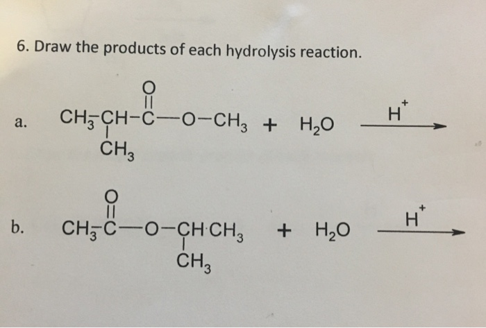 Solved 6 Draw The Products Of Each Hydrolysis Reaction Chegg Com