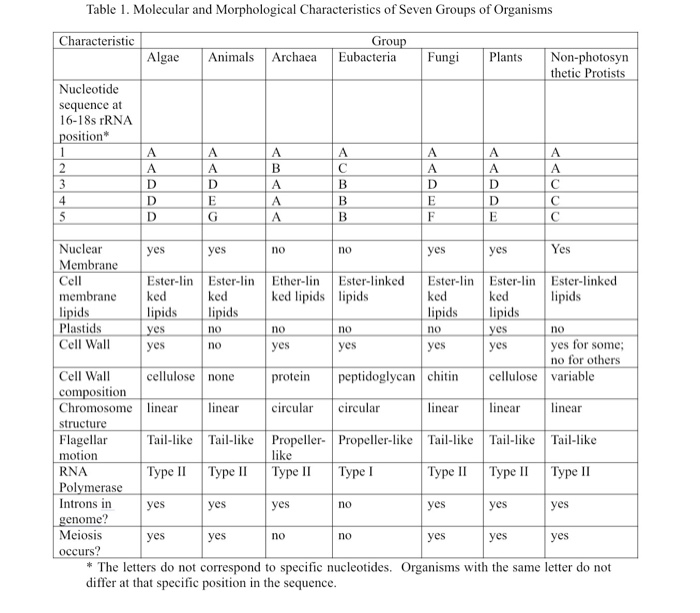 Solved Table 1. Molecular and Morphological Characteristics 