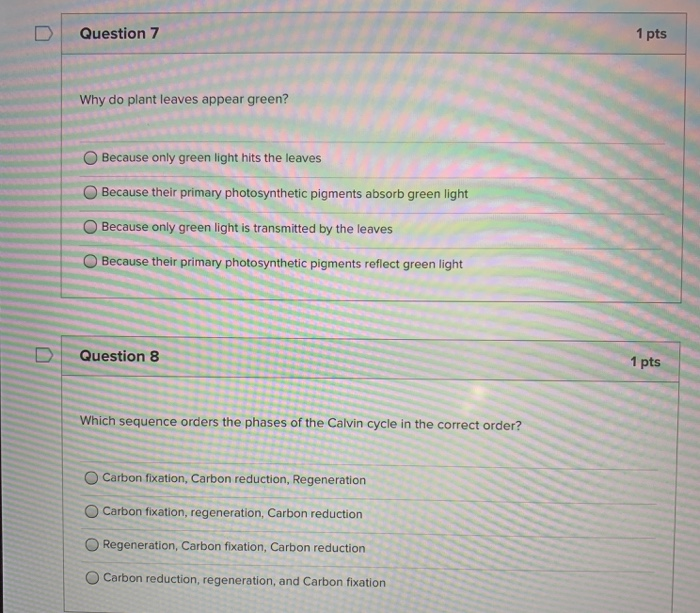 Solved U Question 7 1 pts Why do plant leaves appear green?