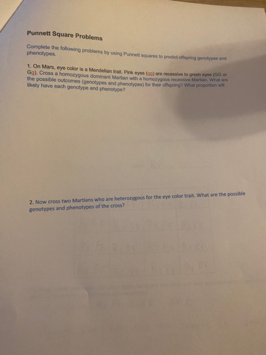 Solved Punnett Square Problems Complete the following | Chegg.com