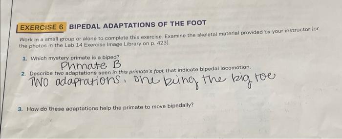 Solved EXERCISE 4 THE BIPEDAL GAIT Work in a group to