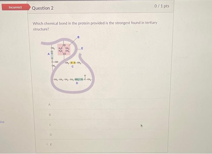 Which chemical bond in the protein provided is the strongest found in tertiary structure?