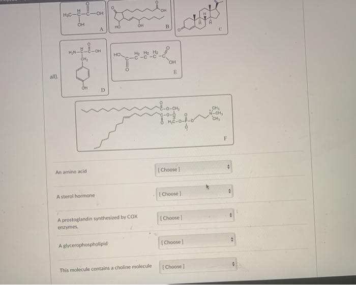 Solved Question 23 5 pts Match each description to a | Chegg.com