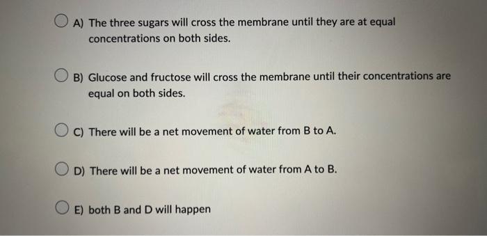 A) The three sugars will cross the membrane until they are at equal concentrations on both sides.
B) Glucose and fructose wil