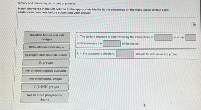 Solved \\( \\alpha \\) helix and \\( \\beta \\)-pleated | Chegg.com