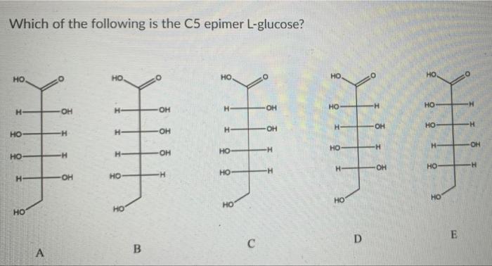 Solved Which of the following is the C5 epimer L-glucose? НО | Chegg.com
