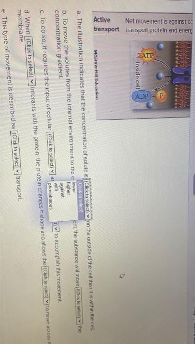 Solved The figure below depicts the transport of molecules | Chegg.com