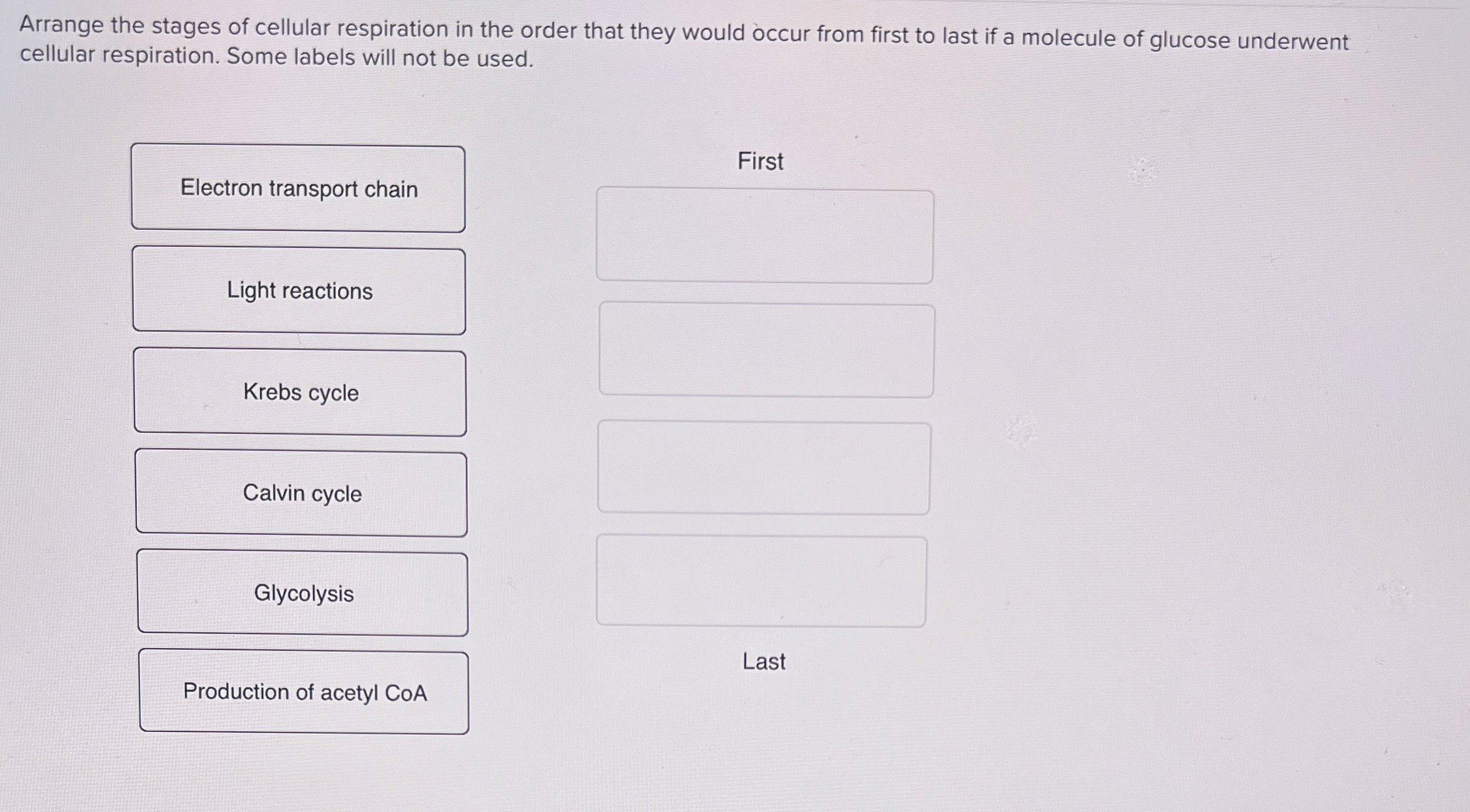 Solved Arrange the stages of cellular respiration in the | Chegg.com