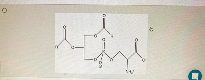 phosphatidylglycerol structure