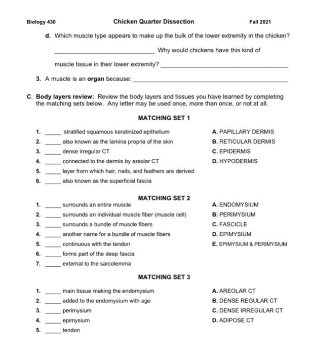 Solved Biology 430 Chicken Quarter Dissection Fall 2021 d. | Chegg.com