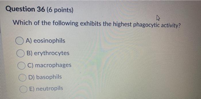 Question 36 (6 points) Which of the following exhibits the highest phagocytic activity? A) eosinophils B) erythrocytes C) mac