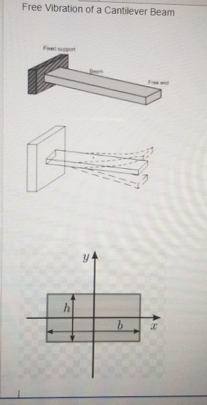 Solved Free Vibration of a Cantilever Beam Fire suport The | Chegg.com