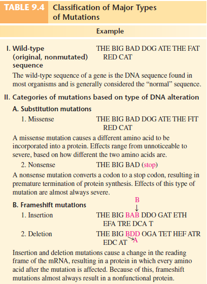 Describe how dna is replicated picture