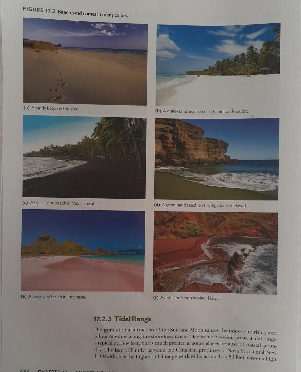 Solved FIGURE 17.1 Types of shorelines. (a) Rocky shoreline | Chegg.com