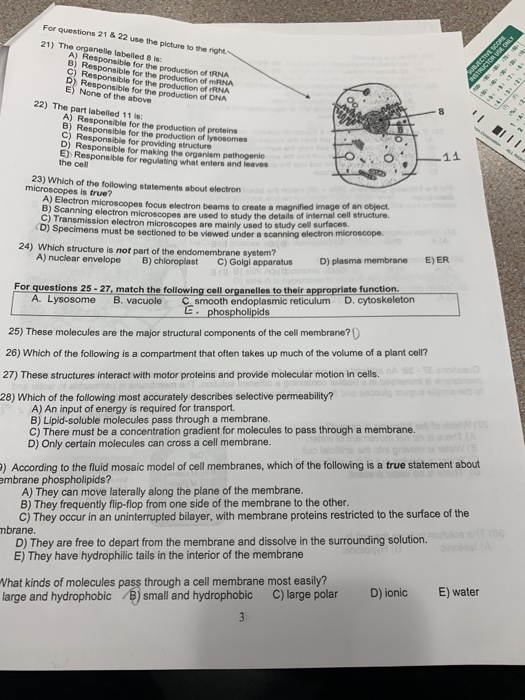 Solved For Questions 21 & 22 Use The Picture To The Right | Chegg.com Solved For Questions 21 & 22 Use The Picture To The Right | Chegg.com