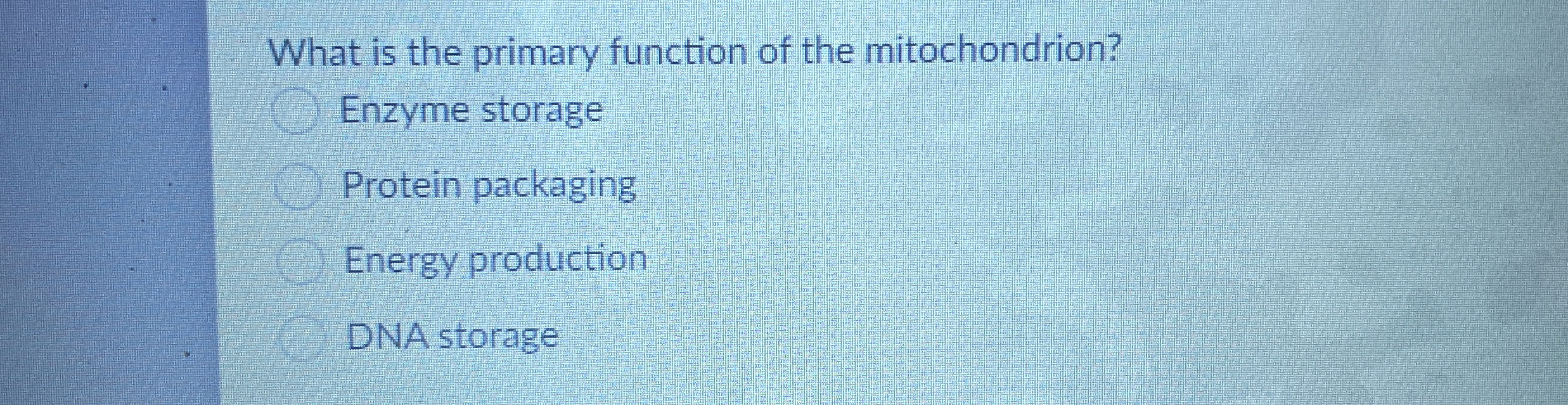 Solved What is the primary function of the | Chegg.com