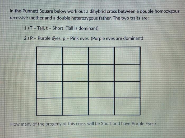 Solved In the Punnett Square below work out a dihybrid cross | Chegg.com