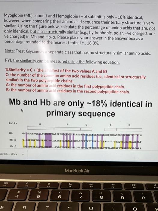 Solved Myoglobin (Mb) subunit and Hemoglobin (Hb) subunit is | Chegg.com