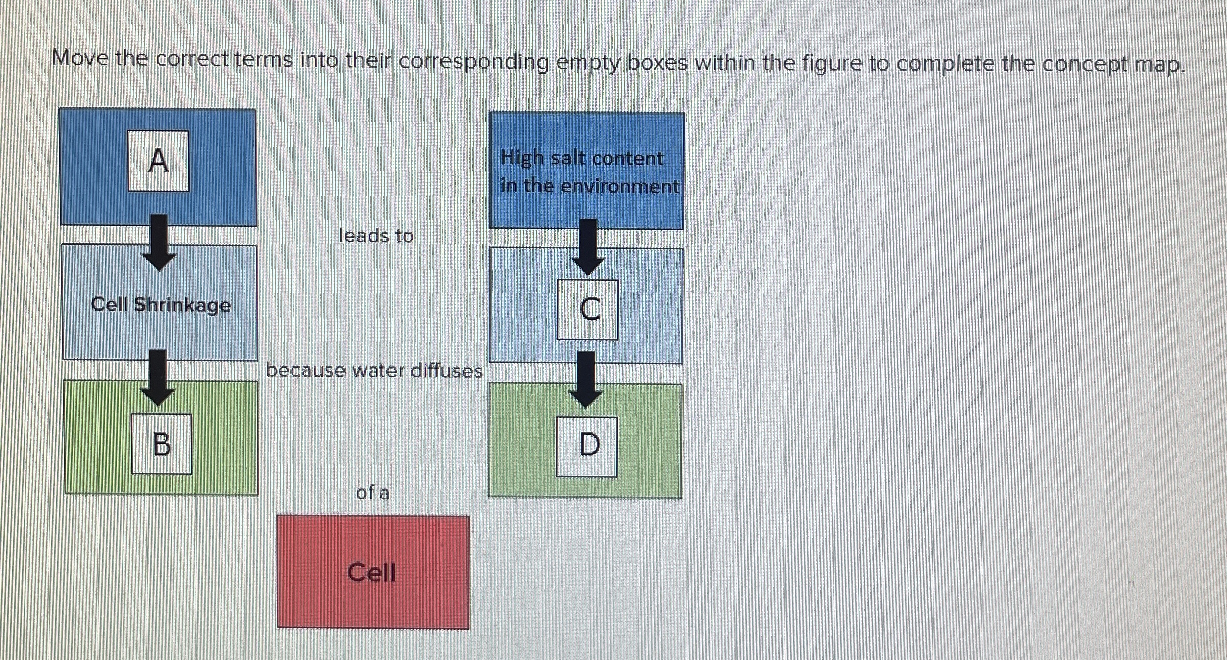 Move the correct terms into their corresponding empty
