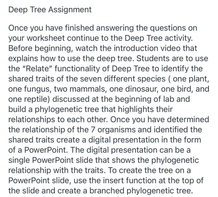 Deep Tree Assignment Once you have finished answering | Chegg.com