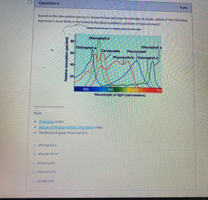 Solved Question 6 6pts Based on the absorption spectrum | Chegg.com