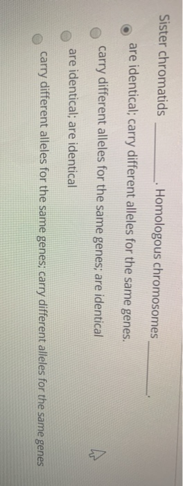 Solved Sister chromatids Homologous chromosomes are | Chegg.com