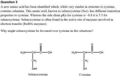 A New Amino Acid Has Been Identified Which, While | Chegg.com