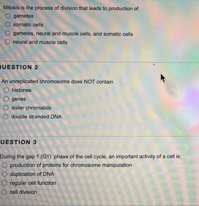 Solved Mitosis is the process of division that leads to | Chegg.com