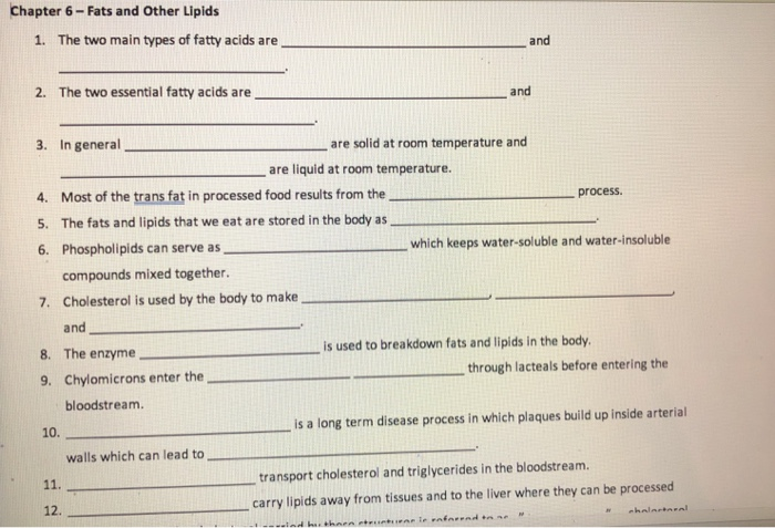 solved-chapter-6-fats-and-other-lipids-1-the-two-main-chegg