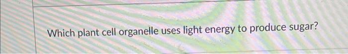 this organelle in plants uses light energy to make carbohydrates