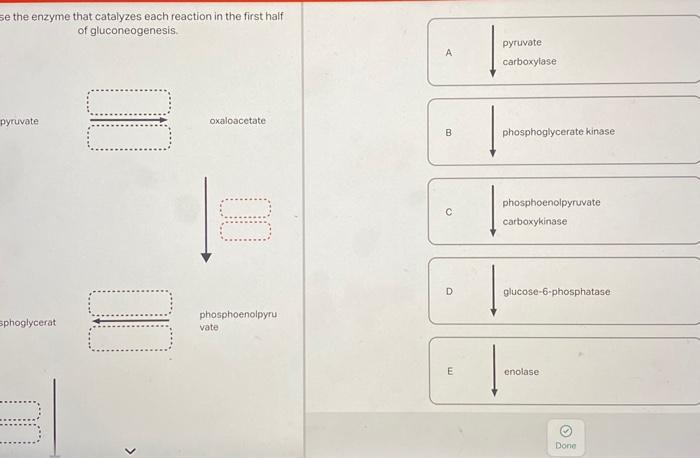 Choose the enzyme that catalyzes each reaction in the | Chegg.com