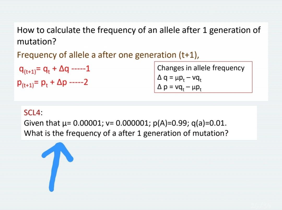 Solved How to calculate the frequency of an allele after 1 | Chegg.com