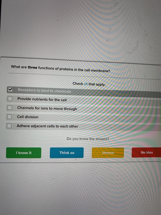 Solved What are three functions of proteins in the cell | Chegg.com