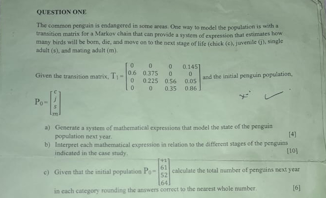Solved QUESTION ONEThe common penguin is endangered in some | Chegg.com