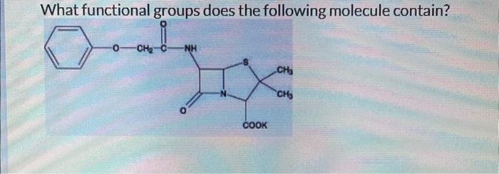 Solved What functional groups does the following molecule | Chegg.com