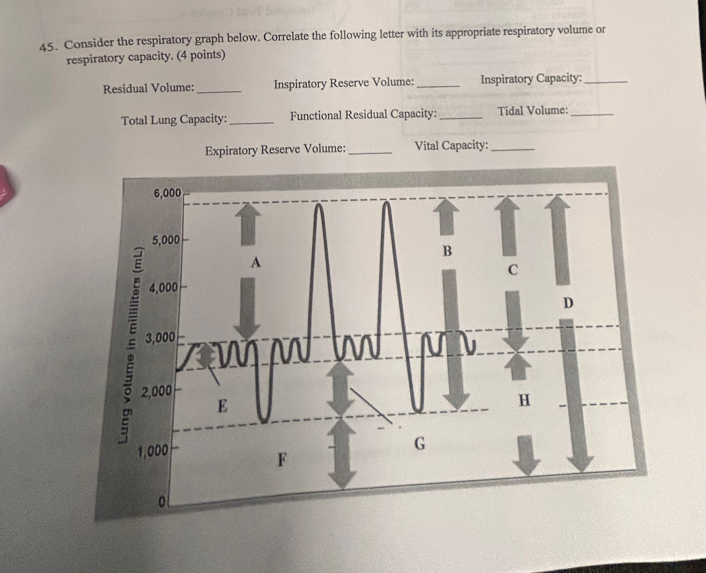 Solved Consider the respiratory graph below. Correlate the | Chegg.com